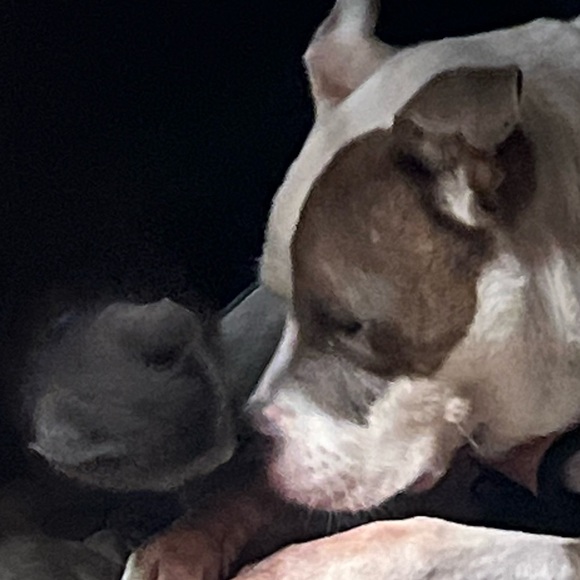 Hey everyone! Get to know me โค๏ธ - Picture 4 of 4